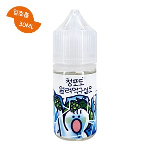 얼려먹구싶오 청포도