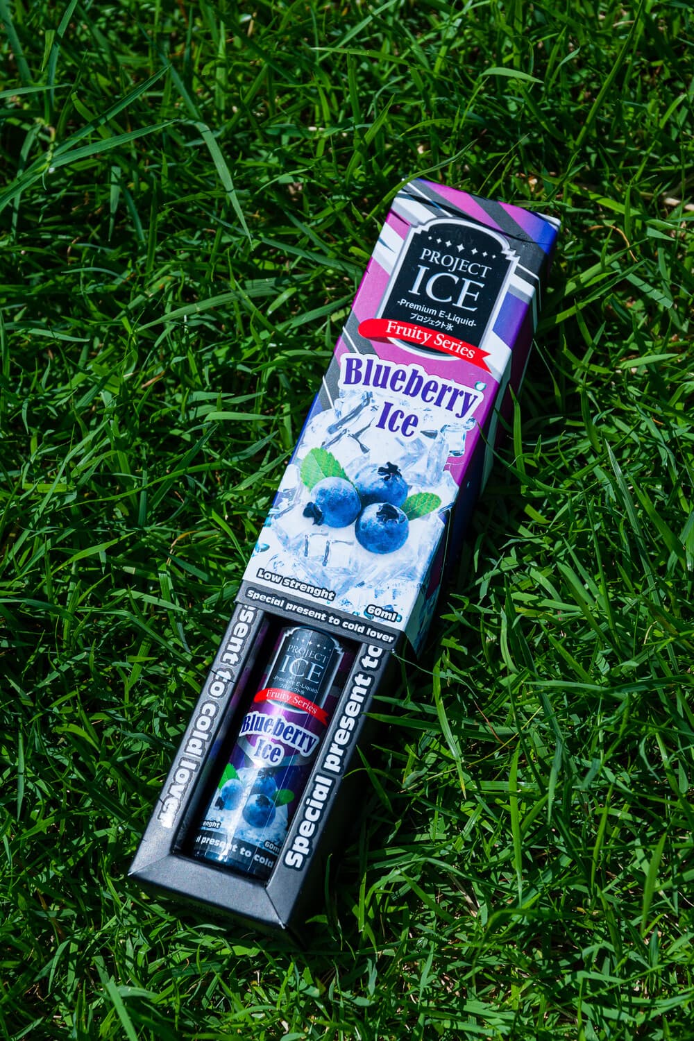 프로젝트 아이스 블루베리