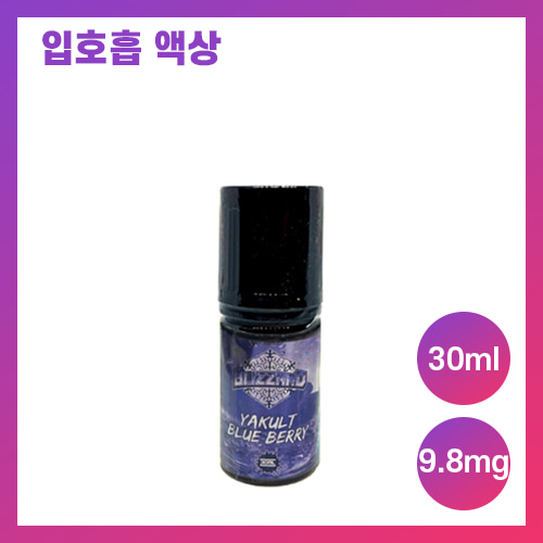 블리자드 블루베리