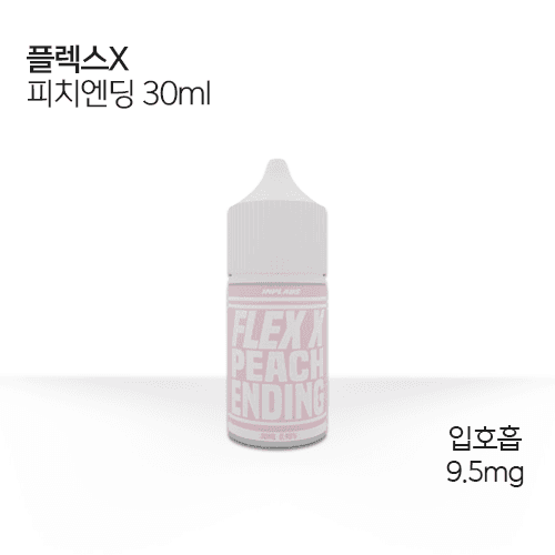 플렉스x 피치 엔딩